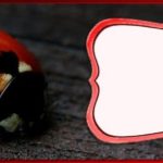 Free Online Ladybug Template