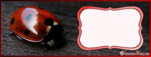 free-online-ladybug-template