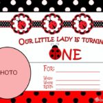 Ladybug First Birthday Invitation