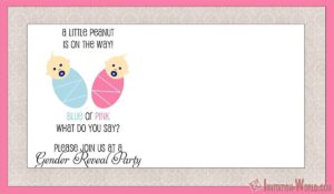 gender-reveal-invitation-template