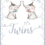Twins Baby Shower Invitation Card